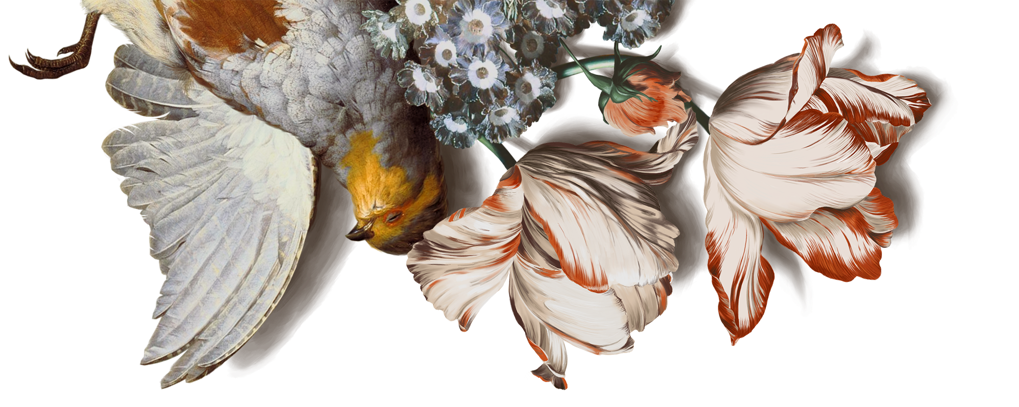 Original illustration by Tokish J. Médeau